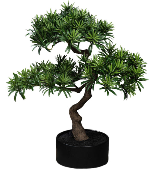 Bonsai Podocarpus Artificiale 50Cm Per Interni