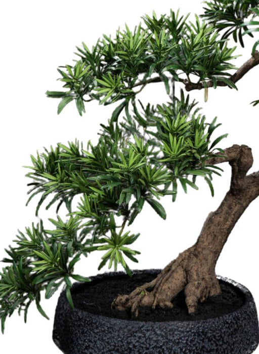Bonsai Podocarpus Artificiale 70 Cm Per Interni