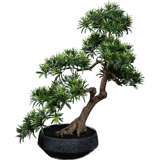 Bonsai Podocarpus Artificiale 70 Cm Per Interni