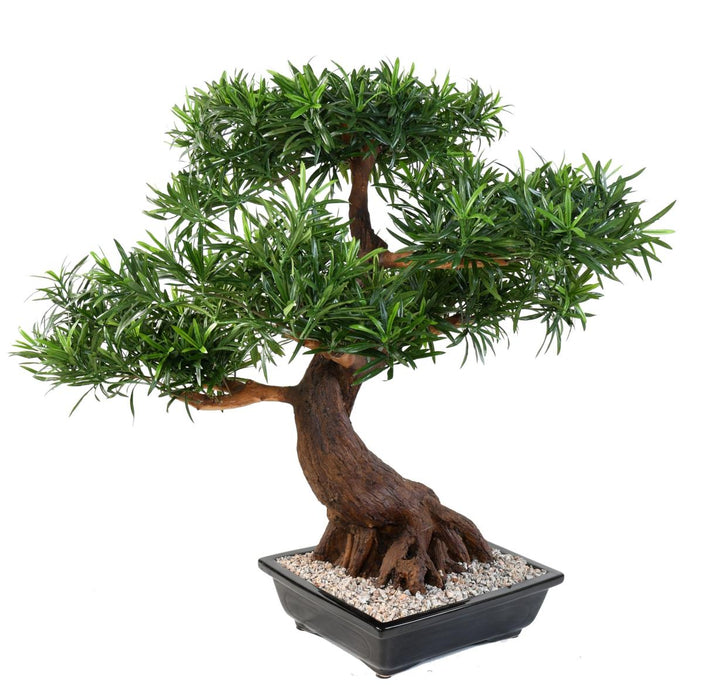 Bonsai Podocarpus Artificiale 78 Cm Per Interni