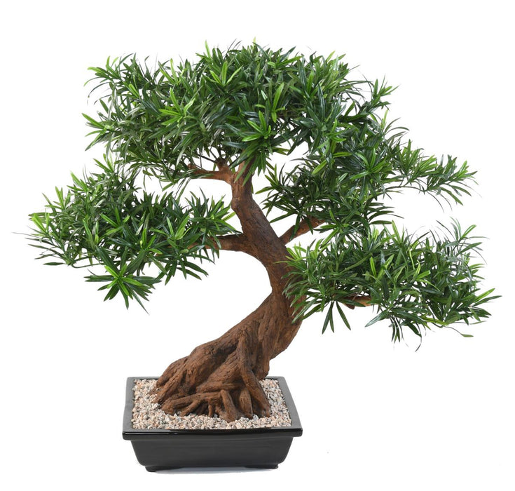 Bonsai Podocarpus Artificiale 78 Cm Per Interni