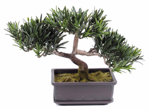Bonsai Podocarpus Artificiale Per Interni Ed Esterni