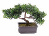Bonsai Da Tè Artificiale 22 Cm Pianta Sintetica Decorativa