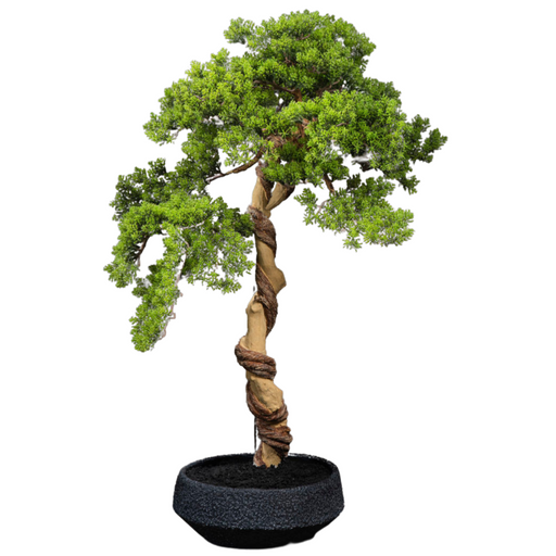 Bonsai Thuya Artificiale Con Vaso Per Interni 90Cm