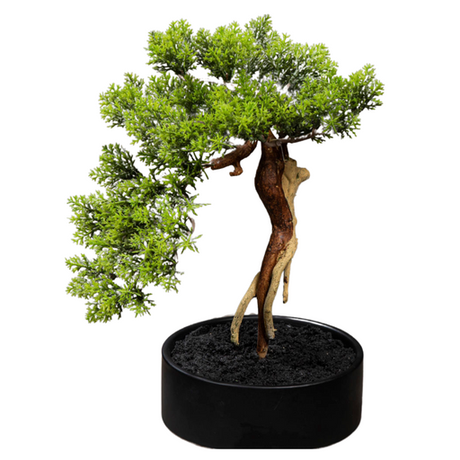 Bonsai Thuja Artificiale In Vaso 30 Cm Pianta Decorativa