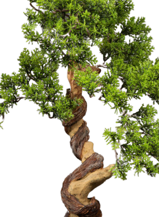 Bonsai Thuya Artificiale In Vaso 50Cm Pianta Decorativa