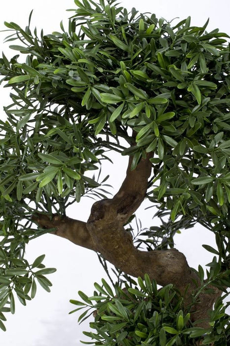 Albero Bonsai - Bonsai Artificiale