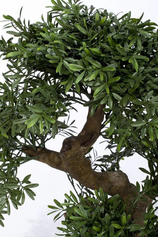 Albero Bonsai - Bonsai Artificiale