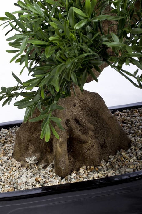 Albero Bonsai - Bonsai Artificiale