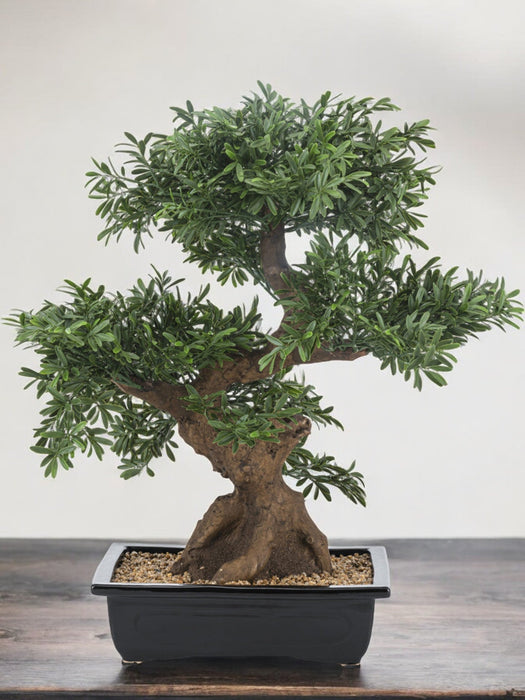 Albero Bonsai - Bonsai Artificiale