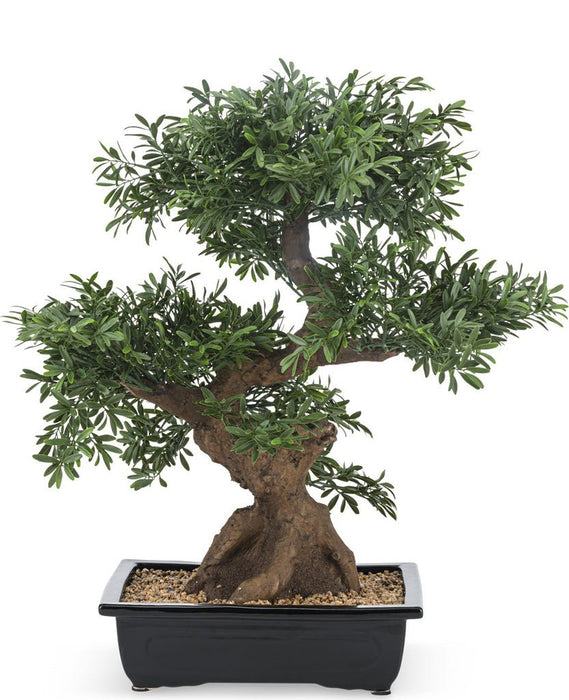 Albero Bonsai - Bonsai Artificiale