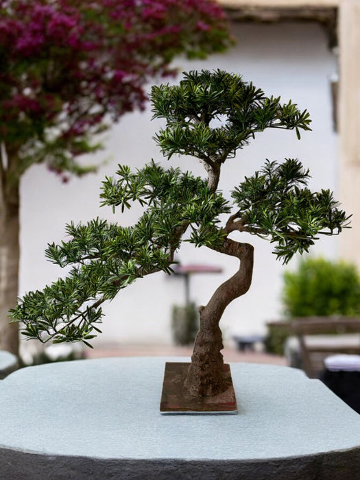 Bonsai Di Abete - Bonsai Artificiale