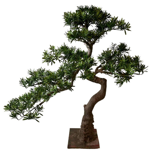 Bonsai Di Abete - Bonsai Artificiale