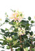 Bouganville Artificiale 150 Cm Fiori Bianchi Rosa