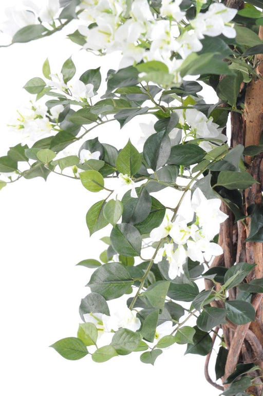 Pianta Da Interno Bianca Artificiale Di Bouganville Alta 150 Cm