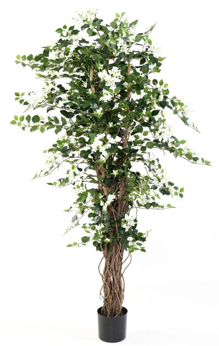 Bouganville Artificiale Fiori Bianchi 180Cm