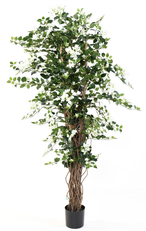 Bouganville Artificiale Fiori Bianchi 180Cm