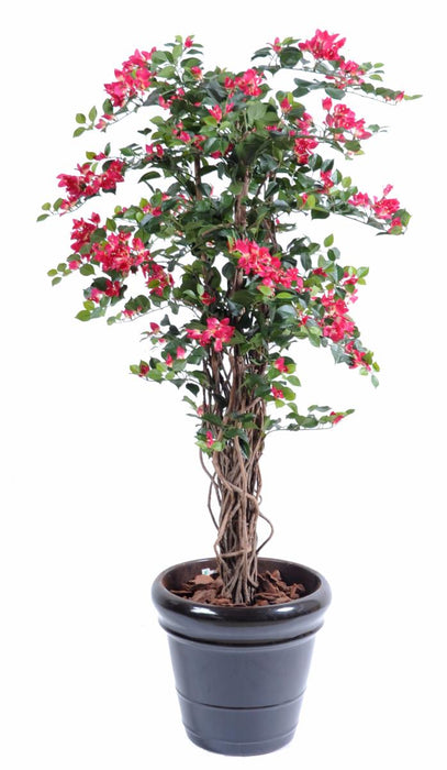 Pianta Da Interno Artificiale Bougainvillea Fucsia 210 Cm