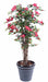Pianta Da Interno Artificiale Bougainvillea Fucsia 210 Cm