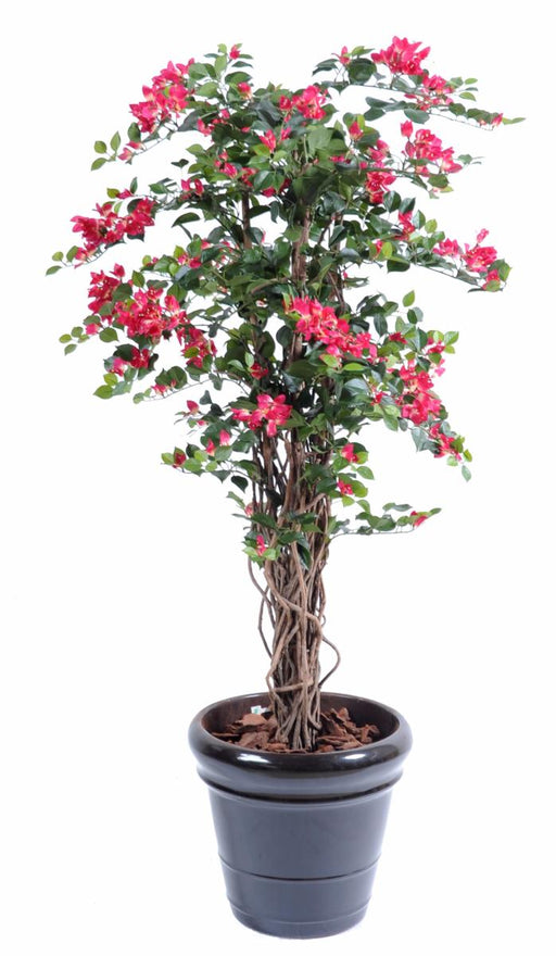 Pianta Da Interno Artificiale Bougainvillea Fucsia 210 Cm