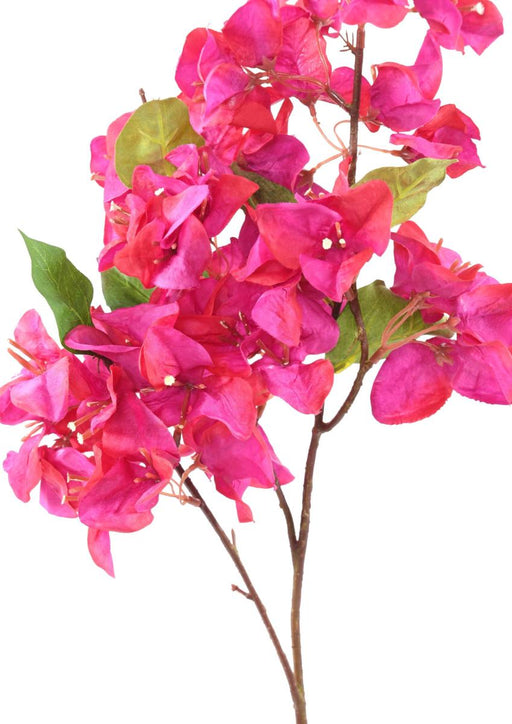 Bouganville Artificiale Fucsia 70Cm