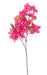 Bouganville Artificiale Fucsia 70Cm