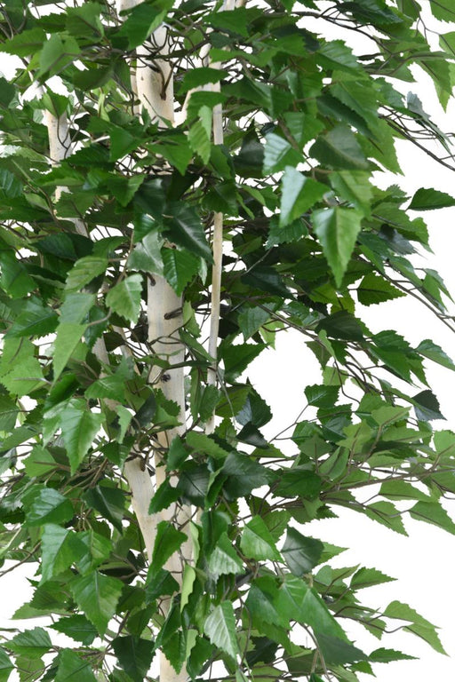 Betulla Artificiale H.260 Cm Per Decorazione Interni