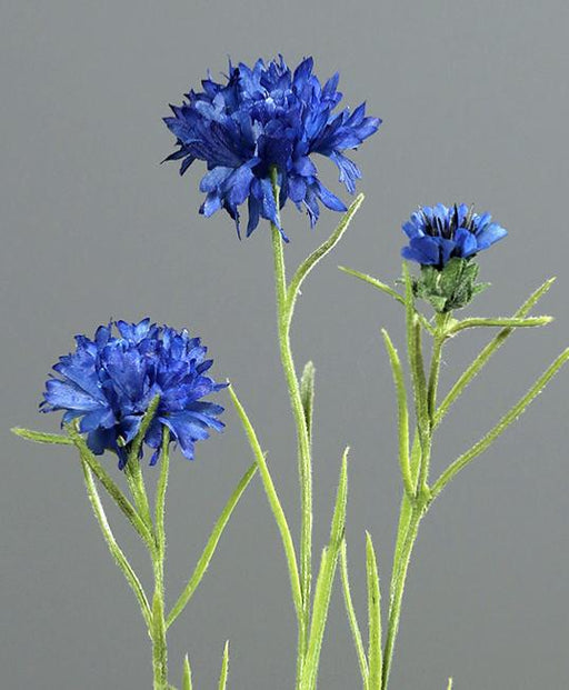 Bouquet Di Fiordaliso Artificiale 3 Fiori H.64Cm