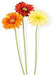Bouquet Artificiale Gerbera Rossa 50 Cm