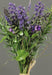 Mazzo Di Lavanda Artificiale Da 23 Cm In Mazzo