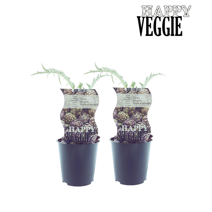 Box - 2 Carciofi Cynara Viola Di Romagna