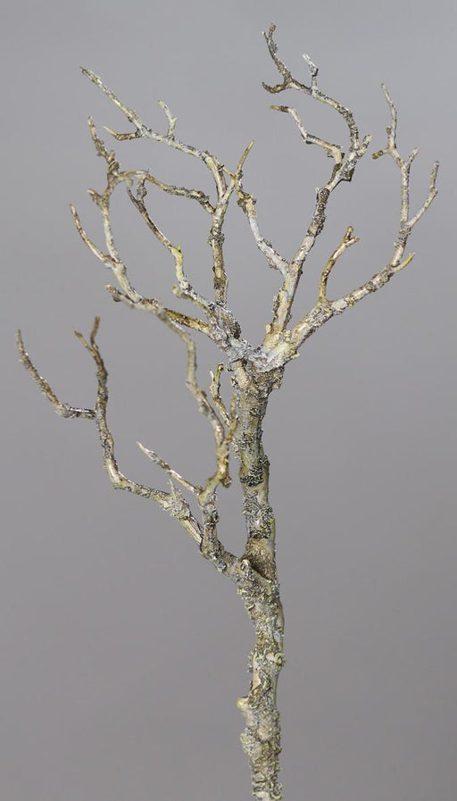 Decorazione Ramo Artificiale In Legno Muschio Lichene 40Cm