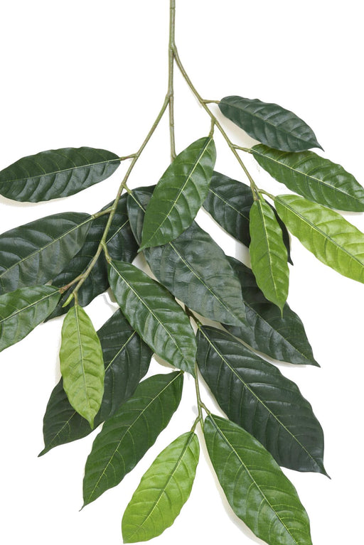 Ramo Di Cacao Artificiale 85Cm Decorazione D'interni