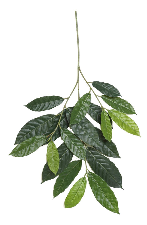 Ramo Di Cacao Artificiale 85Cm Decorazione D'interni