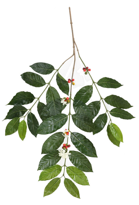 Ramo Di Caffè Artificiale 80Cm Decorazione Interna