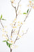 Ramo Di Ciliegio Bianco Artificiale 76 Fiori 115Cm