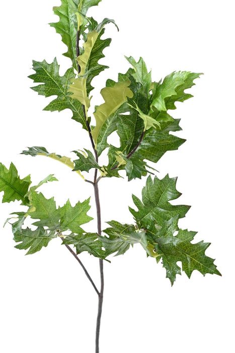 Ramo Artificiale Di Quercia Americana 110 Cm Verde