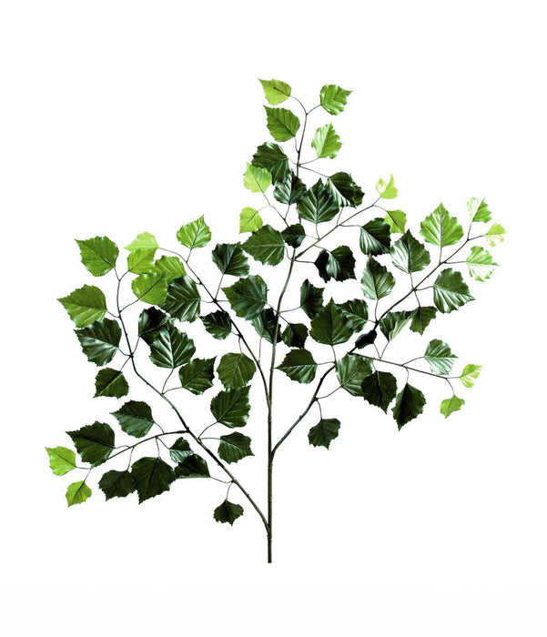 Ramo Di Betulla Artificiale 70Cm Verde