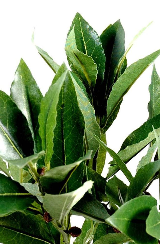 Ramo Di Alloro Artificiale 50 Cm Decorazione Interni