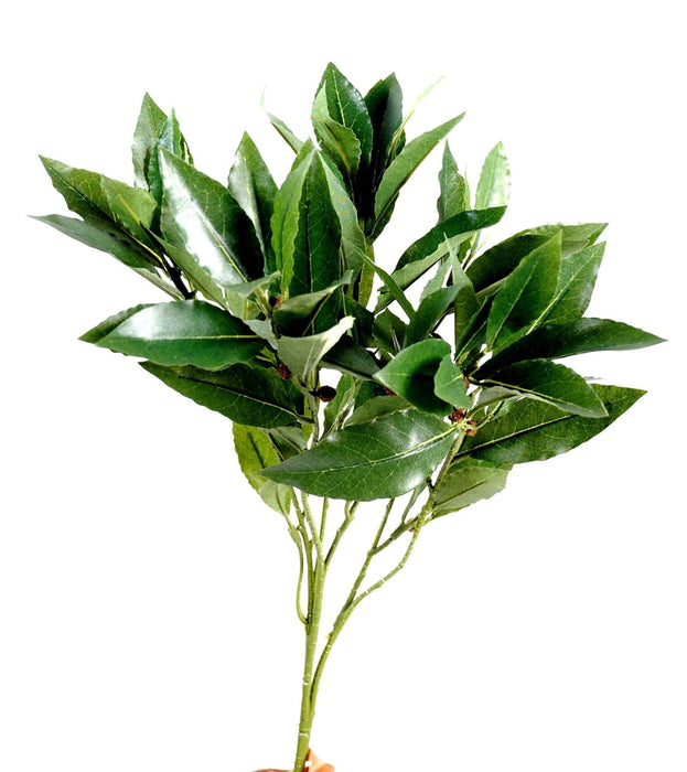 Ramo Di Alloro Artificiale 50 Cm Decorazione Interni