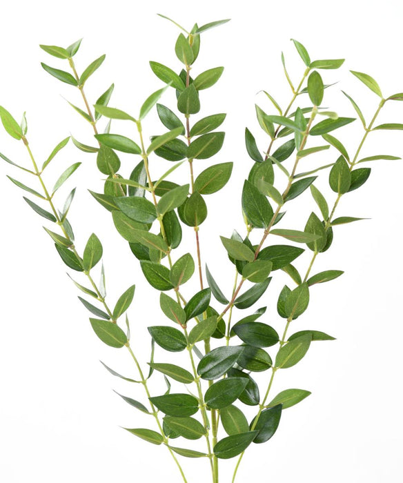 Ramo Di Eucalipto Artificiale 60 Cm Verde