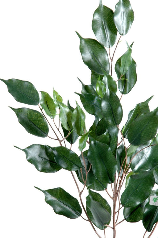 Ramo Artificiale Ficus Exotica 76 Cm Verde