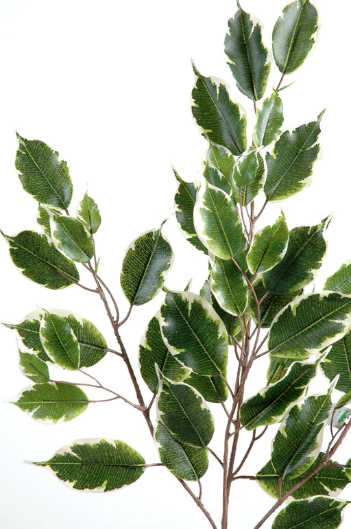 Ramo Artificiale Ficus Exotica 76Cm Verde Bianco