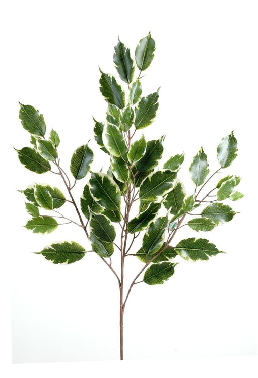 Ramo Artificiale Ficus Exotica 76Cm Verde Bianco