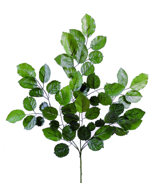 Ramo Di Faggio Artificiale 70Cm Verde Tergal