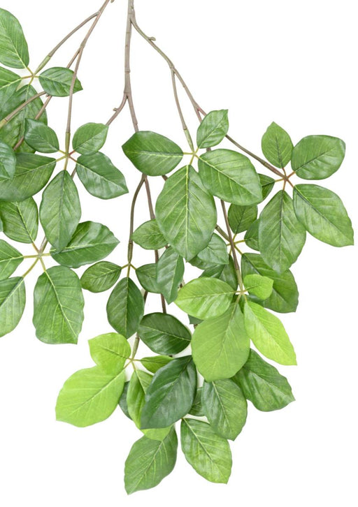 Ramo Grandifolia Di Faggio Artificiale 65 Cm Verde