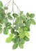 Ramo Grandifolia Di Faggio Artificiale 65 Cm Verde