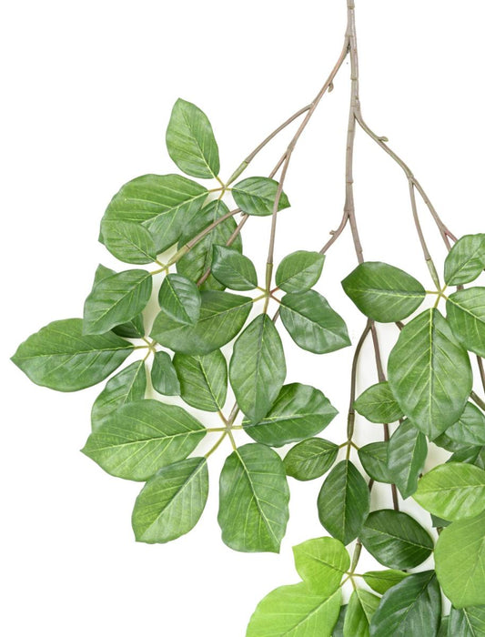 Ramo Grandifolia Di Faggio Artificiale 65 Cm Verde