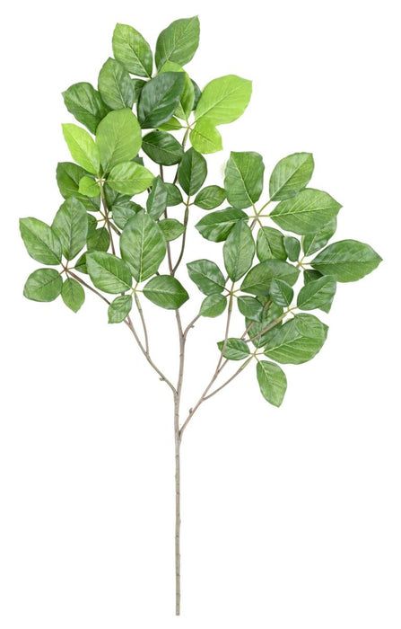Ramo Grandifolia Di Faggio Artificiale 65 Cm Verde
