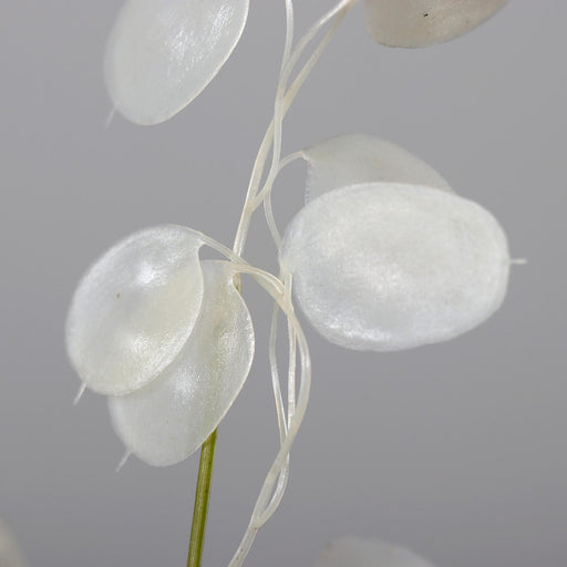 Ramo Artificiale Moneta Del Papa 71Cm